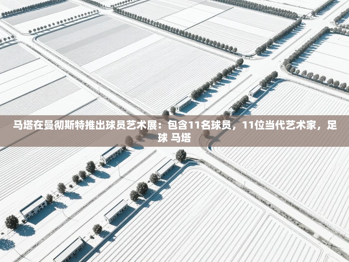 马塔在曼彻斯特推出球员艺术展：包含11名球员，11位当代艺术家，足球 马塔  第2张