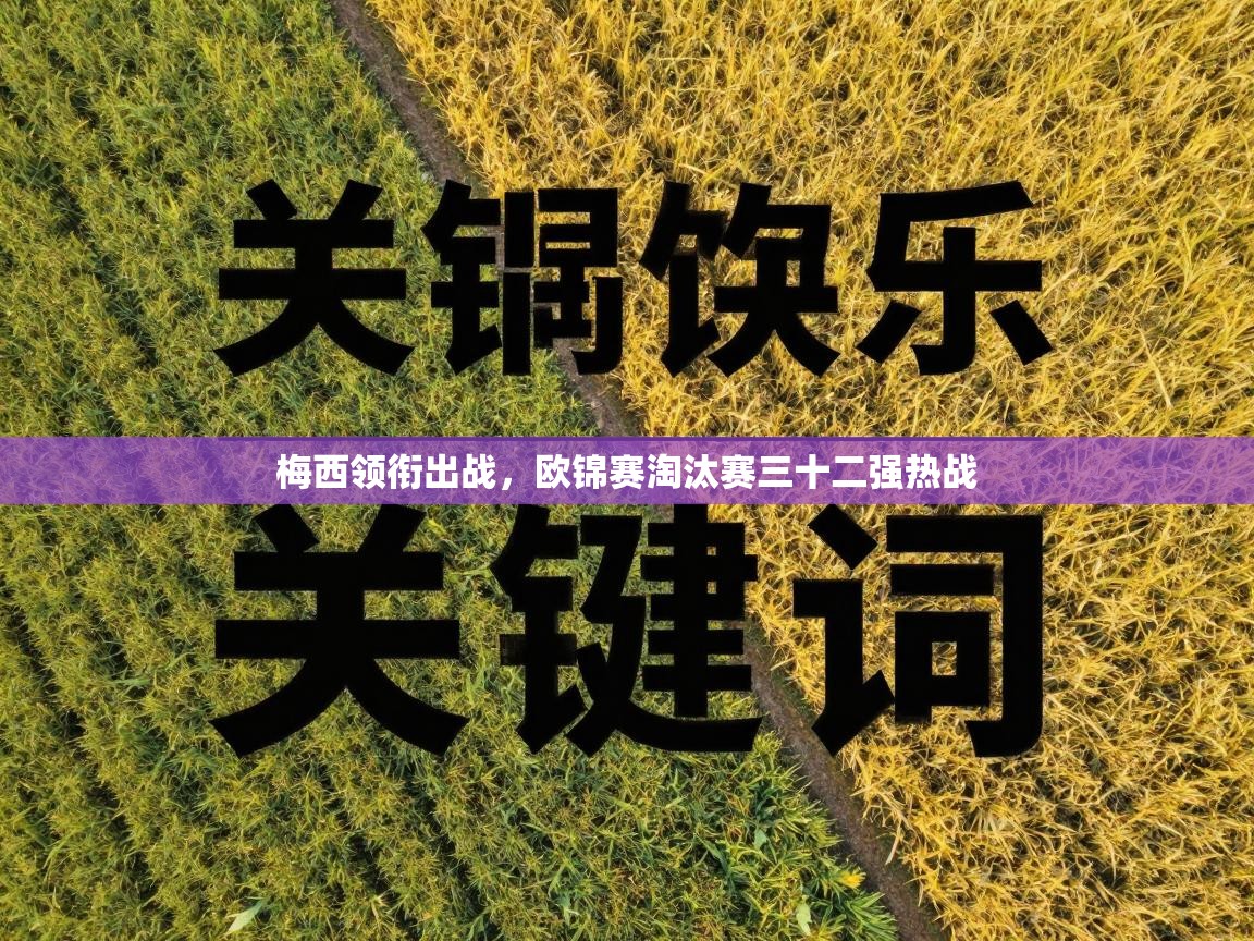 梅西领衔出战,欧锦赛淘汰赛三十二强热战 第2张