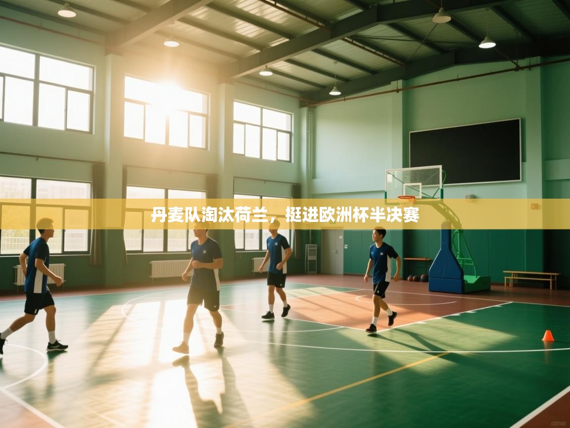 丹麦队淘汰荷兰，挺进欧洲杯半决赛  第1张