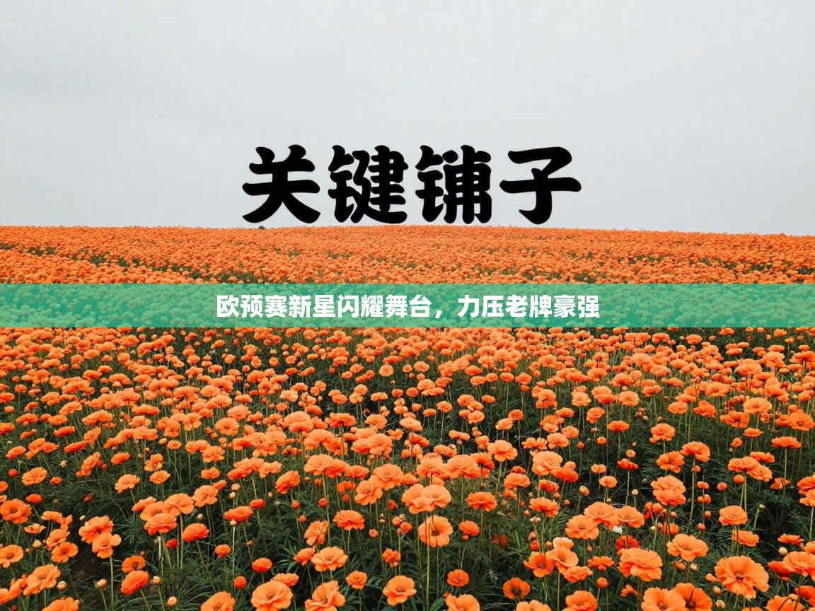 欧预赛新星闪耀舞台，力压老牌豪强  第1张